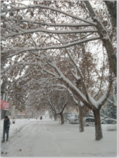 雪后校园