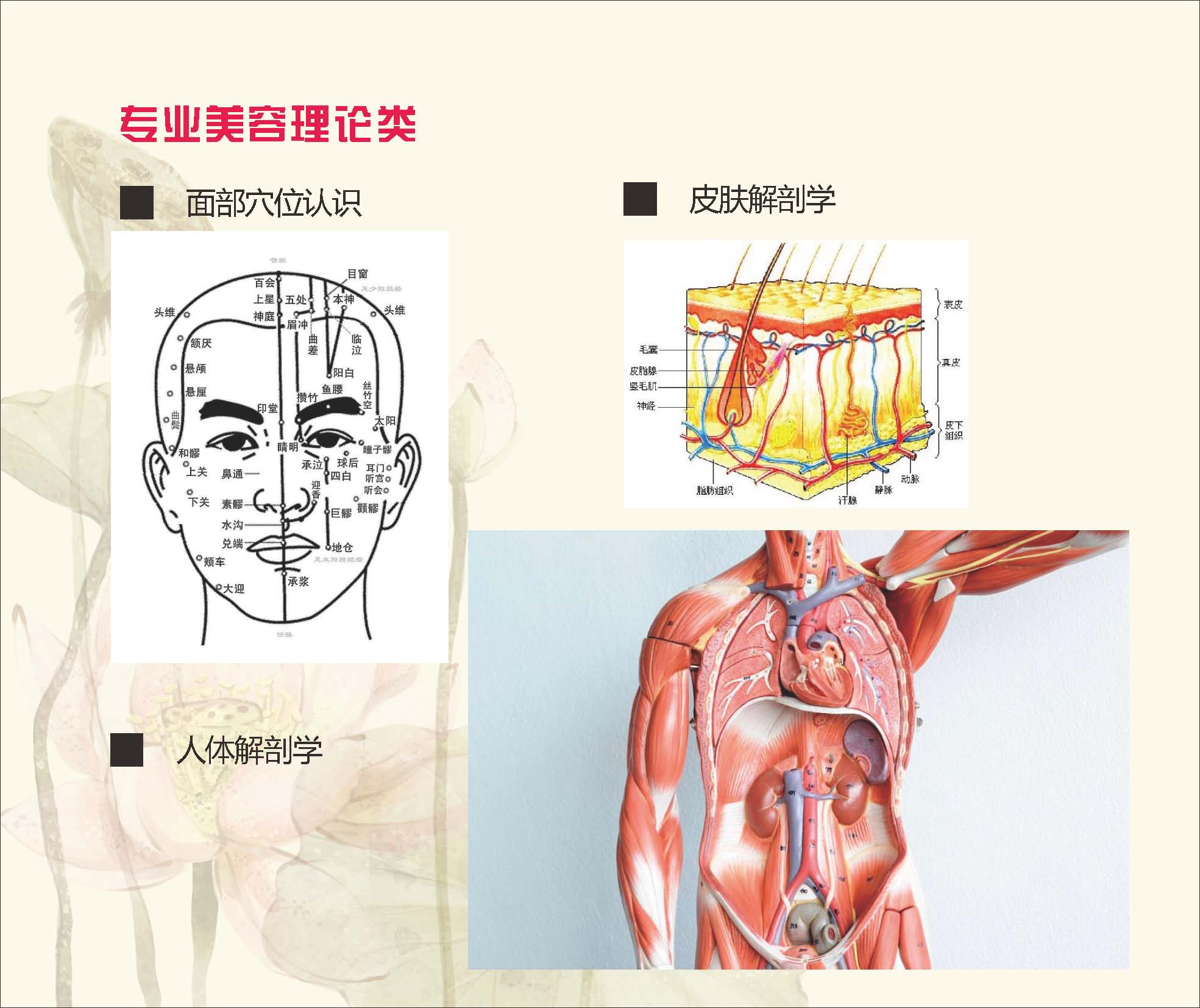 课程详情