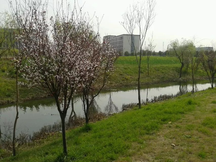 扬州大学校园风采