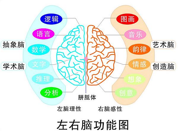 互动吧-全脑学习，开发孩子右脑，提升孩子潜能，轻松提升学习成绩--智灵教育等您！