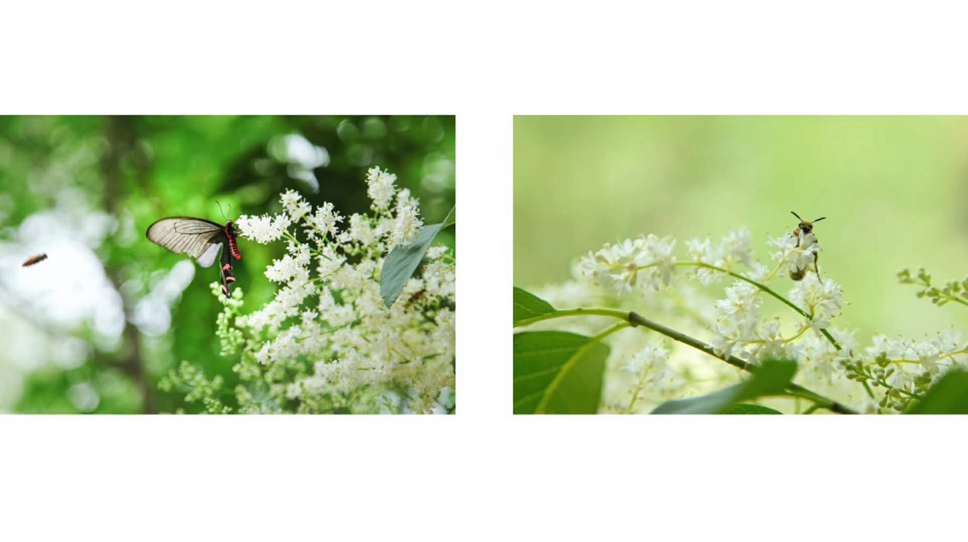 488239041803744845.jpg 488239041803744845.jpg