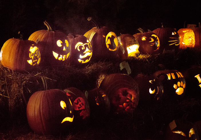 图片.png 图片.png