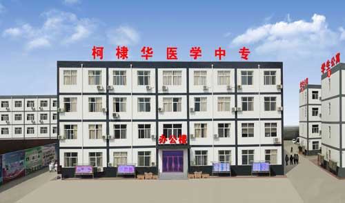 石家庄柯棣华医学院学校大门 石家庄柯棣华医学院学校大门