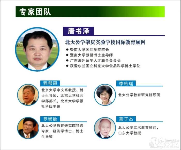 北大公学肇庆实验学校 专家团队