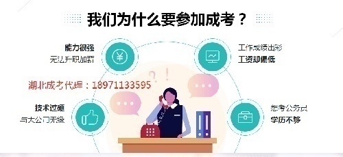 2020湖北成考学历能报事业编制吗
