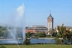 政府免费专业转换IT项目