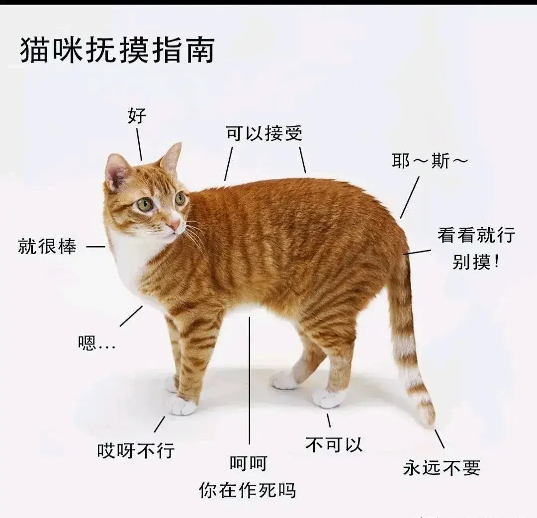 微信图片_20210910102003.jpg 微信图片_20210910102003.jpg