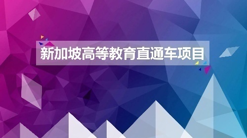 新加坡教育直通车-阿米提