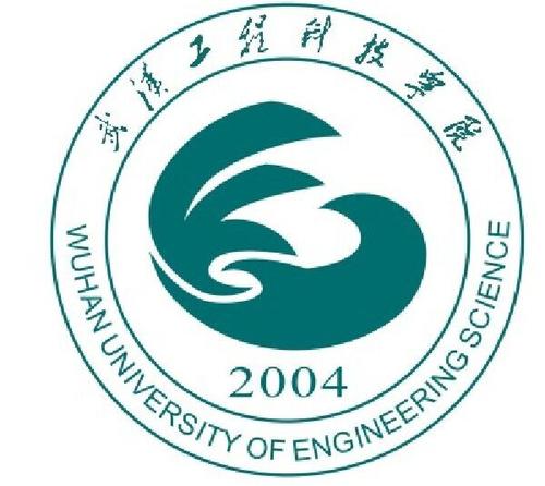 武汉工程科技学院